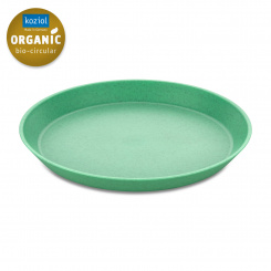 CONNECT PLATE small plate 205mm organic apple green